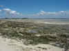 DSCN9752.JPG (1631558 byte)