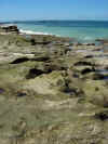 DSCN9763.JPG (1517032 byte)