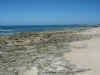 DSCN9764.JPG (1598423 byte)