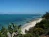 DSCN9771.JPG (1631354 byte)