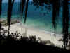 DSCN9772.JPG (1872863 byte)