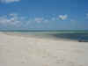 DSCN9793.JPG (1848727 byte)