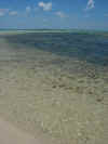DSCN9796.JPG (1510594 byte)