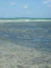 DSCN9797.JPG (1470133 byte)