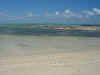 DSCN9800.JPG (1647354 byte)
