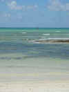 DSCN9802.JPG (1588508 byte)