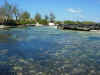 DSCN9804.JPG (1666656 byte)