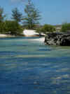 DSCN9805.JPG (1535492 byte)