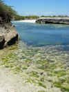 DSCN9809.JPG (1523559 byte)