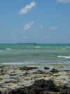 DSCN9813.JPG (1519111 byte)