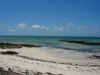 DSCN9816.JPG (1685566 byte)