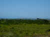 DSCN9830.JPG (1641243 byte)