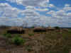 DSCN9877.JPG (1676418 byte)
