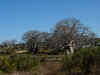 DSCN9898.JPG (1587969 byte)