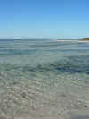 DSCN9903.JPG (1509726 byte)