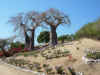 DSCN9927.JPG (1946975 byte)