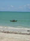 DSCN9951.JPG (1598833 byte)