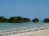 DSCN9952.JPG (1765672 byte)