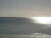 DSCN9980.JPG (1849184 byte)