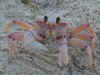 RSCN0101.JPG (995469 byte)