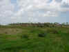 Verde Mozambico.JPG (1775223 byte)