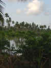 Zalala laguna.JPG (1656077 byte)