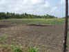 campo.JPG (1691965 byte)