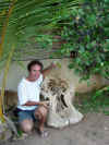 elefante cranio.JPG (1768547 byte)