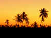 tramonto.JPG (103074 byte)