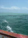 verso Benguerra.JPG (1576684 byte)