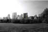 Central Park, 1997.jpg (39665 byte)