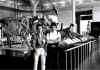 New York 1997 museo con dinosouri.jpg (51755 byte)