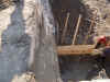131.jpg (107633 byte)