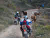 192.jpg (79563 byte)