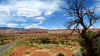 Capitol Reef 1.JPG (290146 byte)