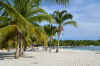 Chichirivice Cayo Sombrero.JPG (530648 byte)