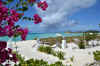 Los Roques 5.JPG (383363 byte)