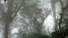 Merida vicinanze 4.JPG (281823 byte)