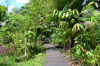Orinoco 1.JPG (797165 byte)