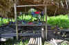 Orinoco 5.JPG (499509 byte)