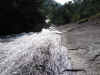 87.jpg (183006 byte)