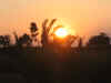 IMG_6747.jpg (476318 byte)