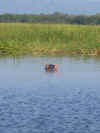 IMG_7155.jpg (140705 byte)