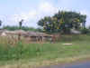MALAWI 2007 1 SABY 115.jpg (1011650 byte)