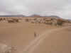 Arianna nel desierto.jpg (711015 byte)