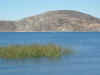 Vela sul Titicaca.jpg (614141 byte)
