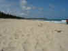 Maracaipe praia branca.jpg (625268 byte)