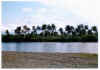 Baracoa rio Miel.jpg (116922 byte)