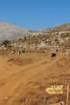 Creta 2010 365.jpg (4015476 byte)