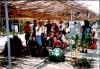 Grecia 1996, in partenza da Naxos Maragas camping.jpg (216918 byte)